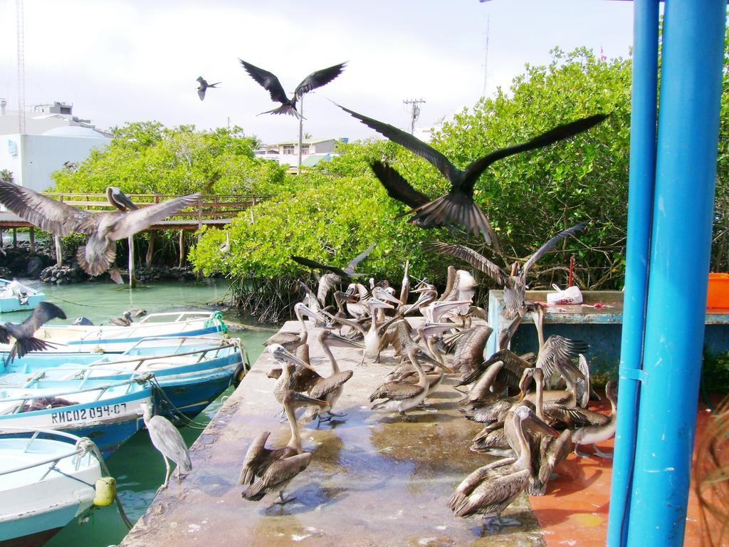 פורטו איורה Hotel Pelican Bay מראה חיצוני תמונה